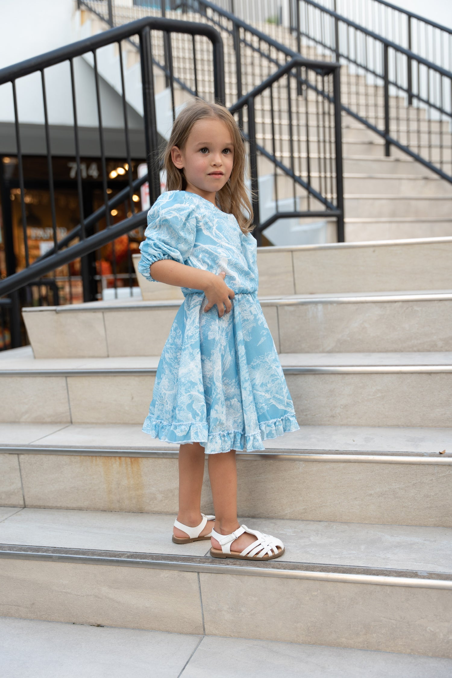 Toile Flower Girl Dress