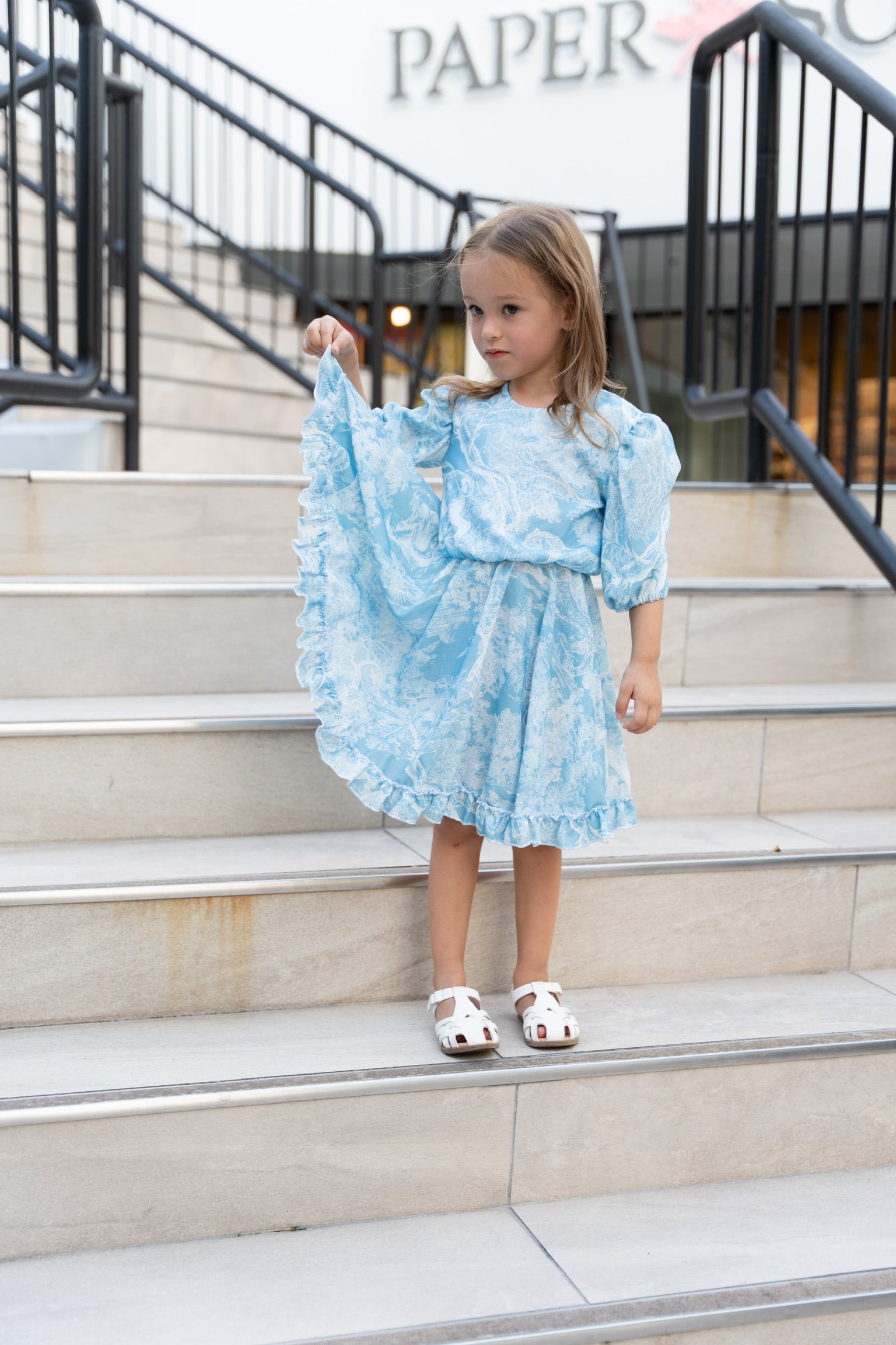 Toile Flower Girl Dress