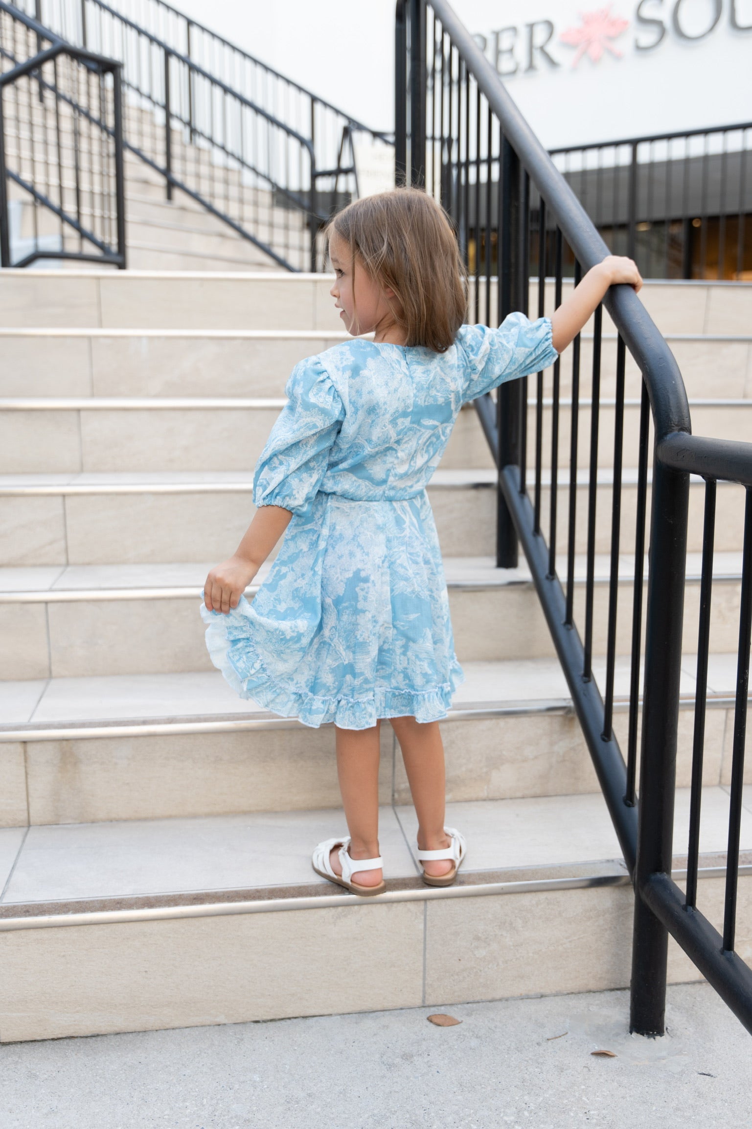 Toile Flower Girl Dress