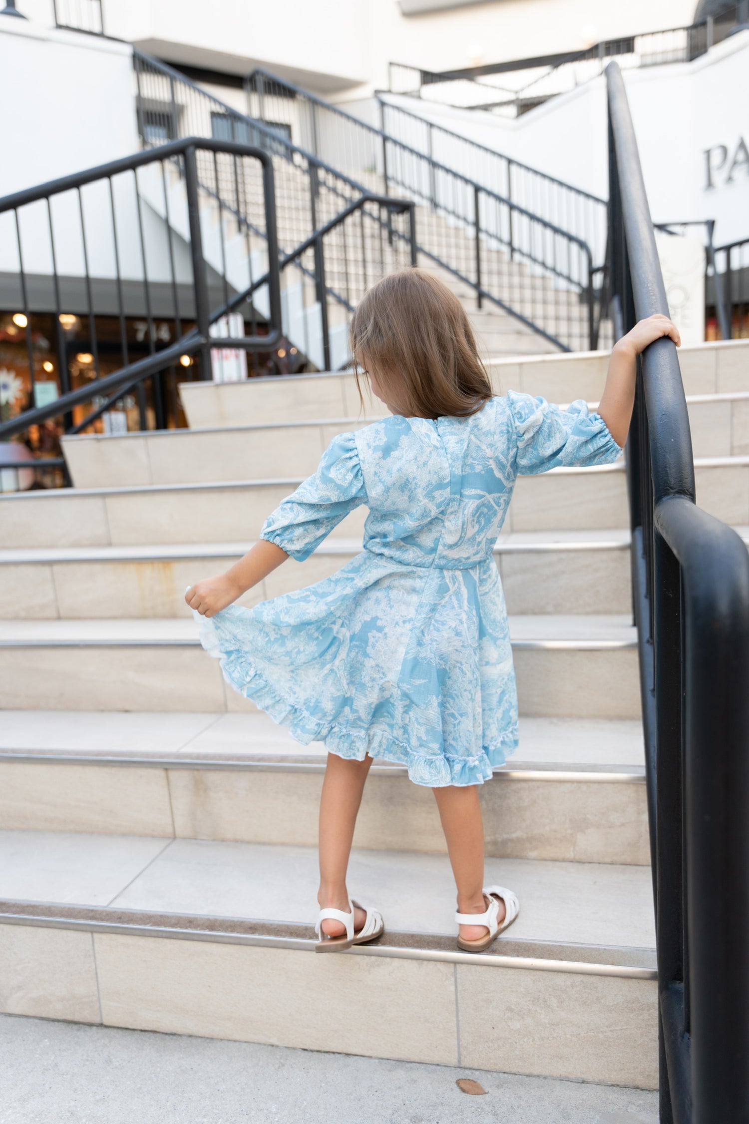 Toile Flower Girl Dress