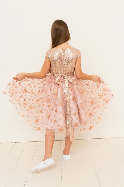 Princess Sequin Tulle Flower Girl Dress